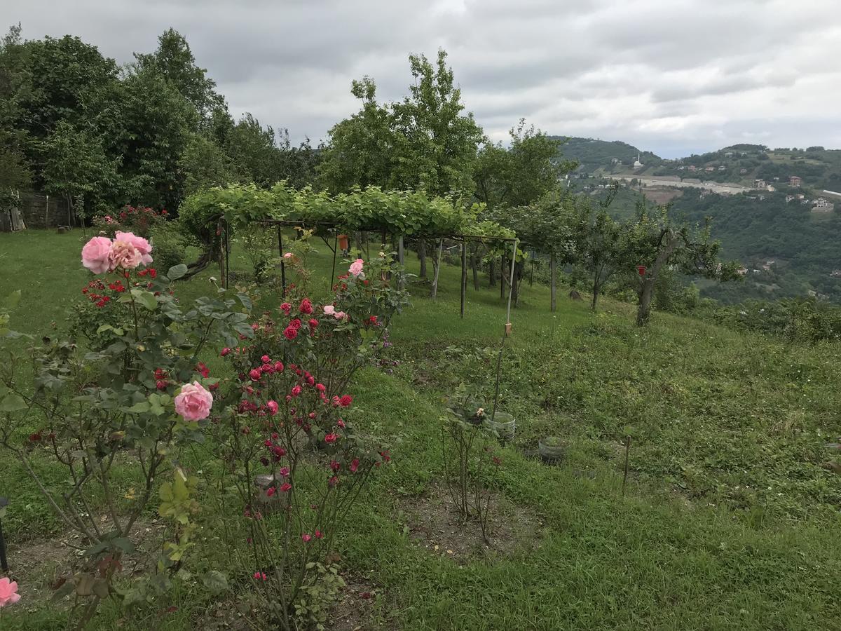 Sea & Nature Villa Hisar Trabzon Eksteriør bilde