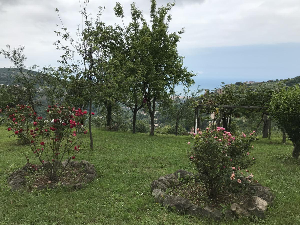 Sea & Nature Villa Hisar Trabzon Eksteriør bilde