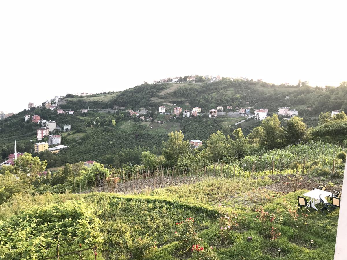 Sea & Nature Villa Hisar Trabzon Eksteriør bilde