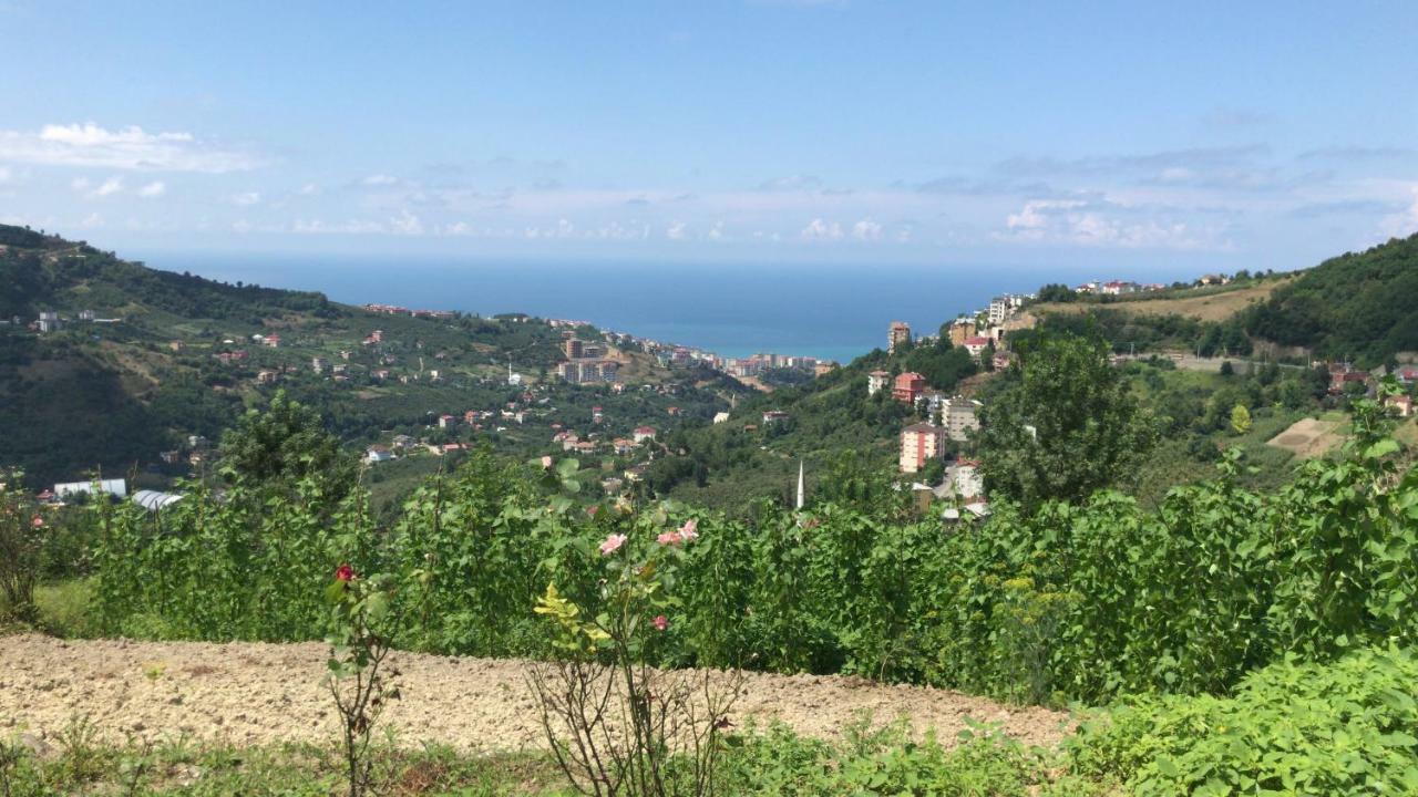 Sea & Nature Villa Hisar Trabzon Eksteriør bilde