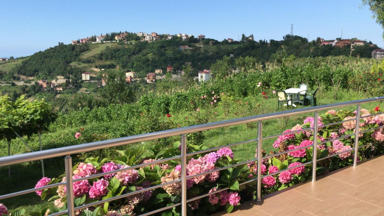 Sea & Nature Villa Hisar Trabzon Eksteriør bilde